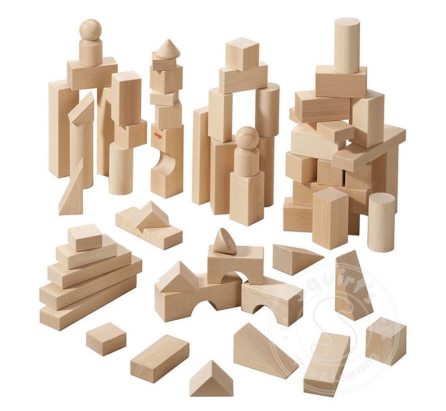 FINAL SALE - Haba 60 pc Blocks Large Starter Set