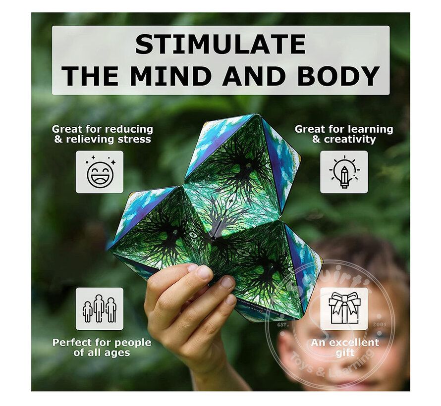Shashibo: Shape Shifting Box, Earth