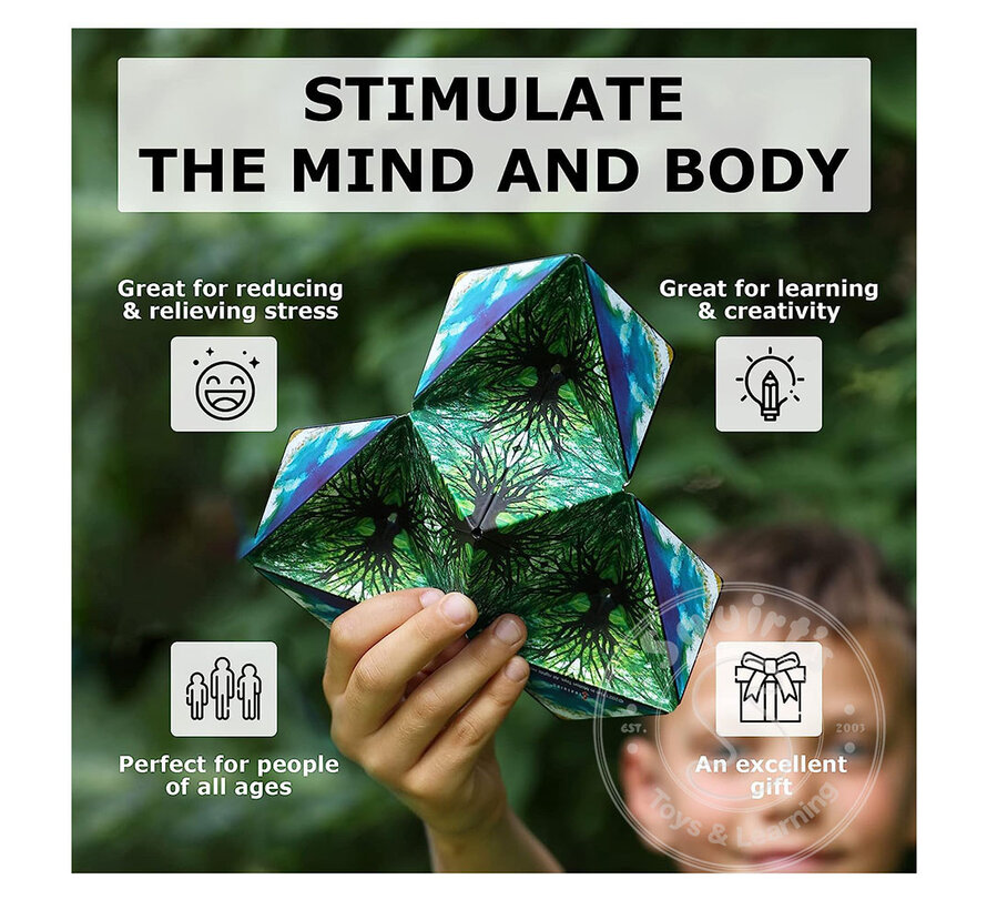 Shashibo: Shape Shifting Box, Jungle