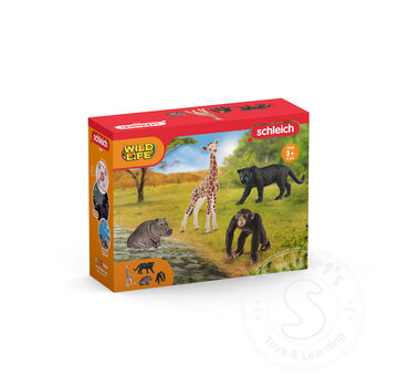 Schleich Schleich Wildlife Starter Set - Retired