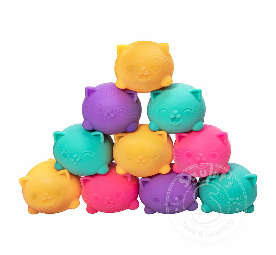 Teenie Cool Cat Nee Doh