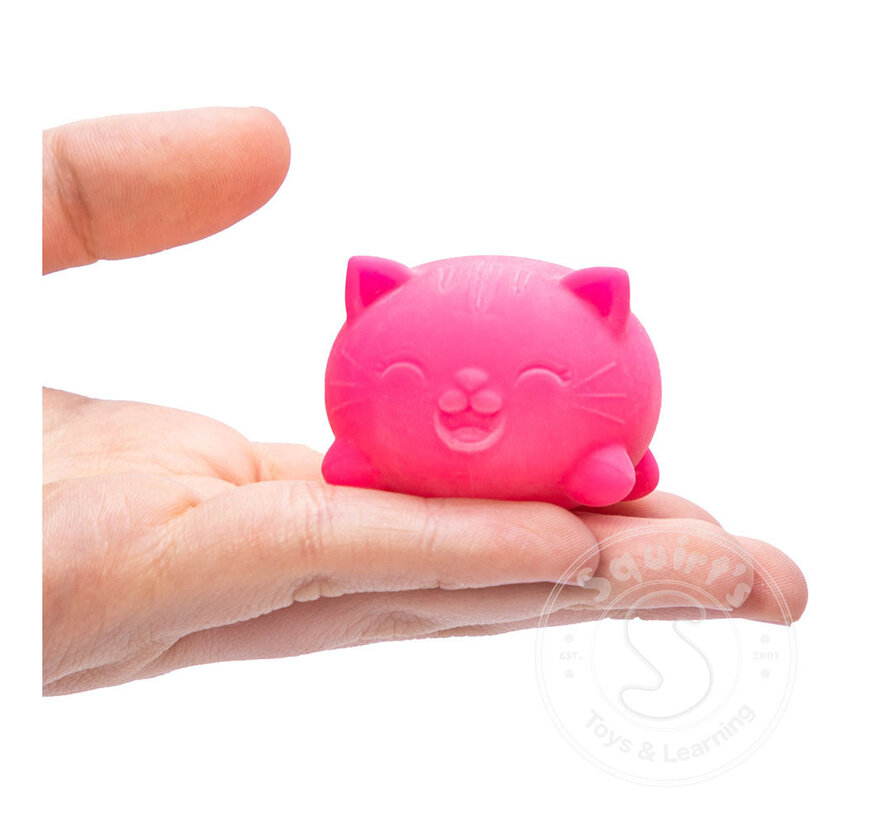 Teenie Cool Cat Nee Doh