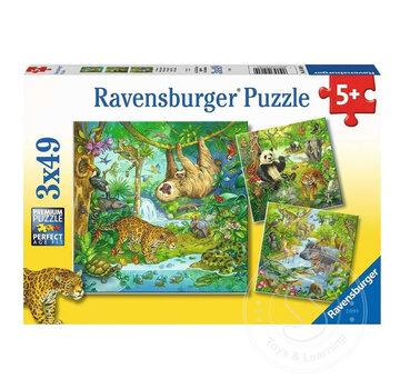 Ravensburger Ravensburger Jungle Fun 3 x 49pcs