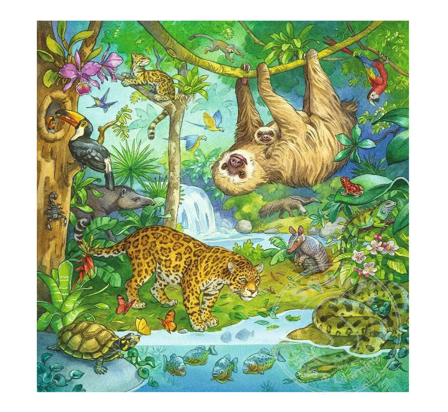 Ravensburger Jungle Fun 3 x 49pcs - Retired