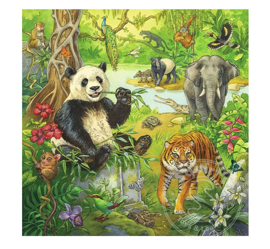 Ravensburger Jungle Fun 3 x 49pcs - Retired