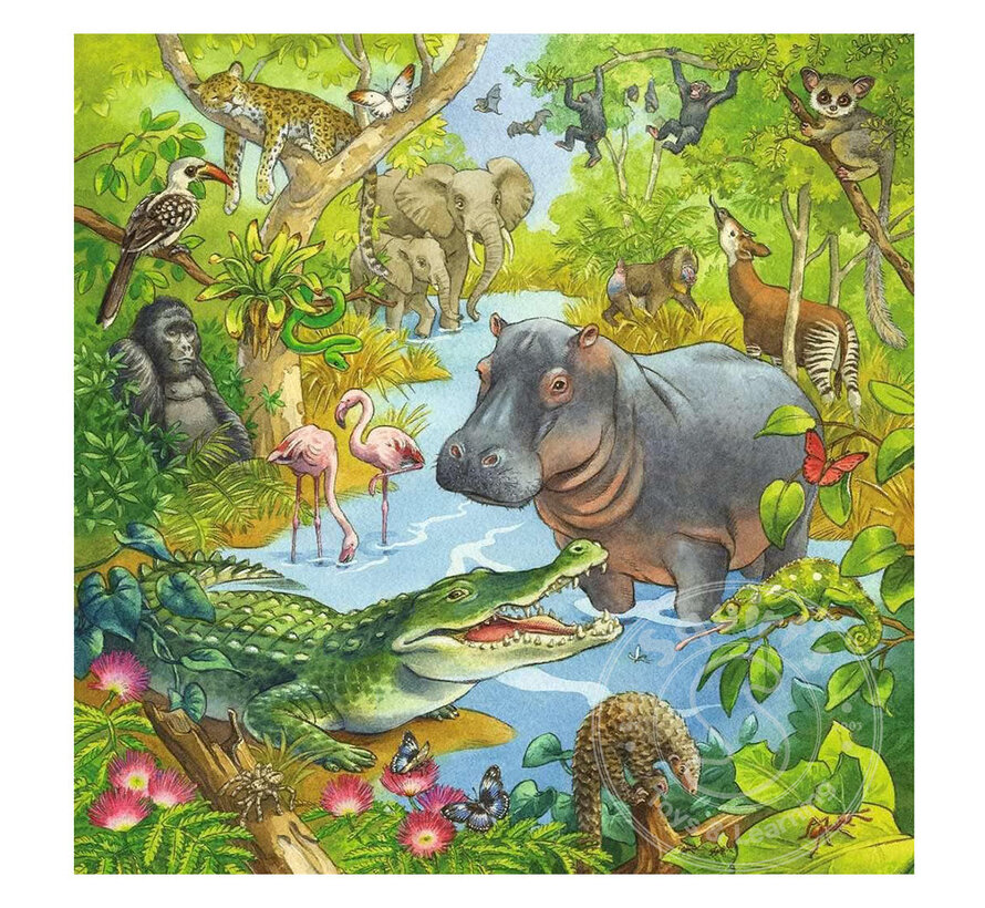 Ravensburger Jungle Fun 3 x 49pcs - Retired