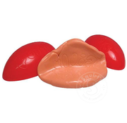 Silly Putty The Original