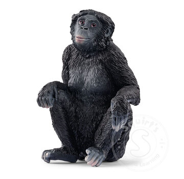 Schleich Schleich Bonobo, female