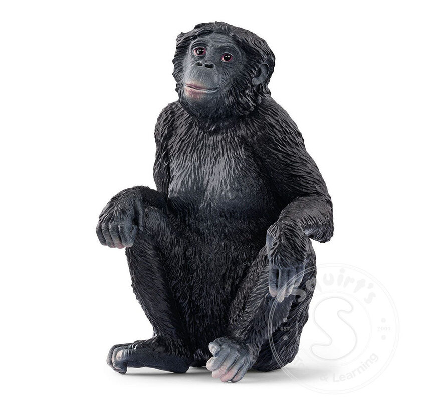 Schleich Bonobo, female