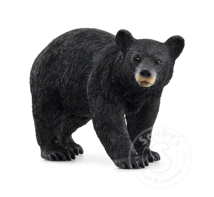 Schleich Black Bear