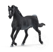 Schleich Schleich Rabicano Arab Stallion