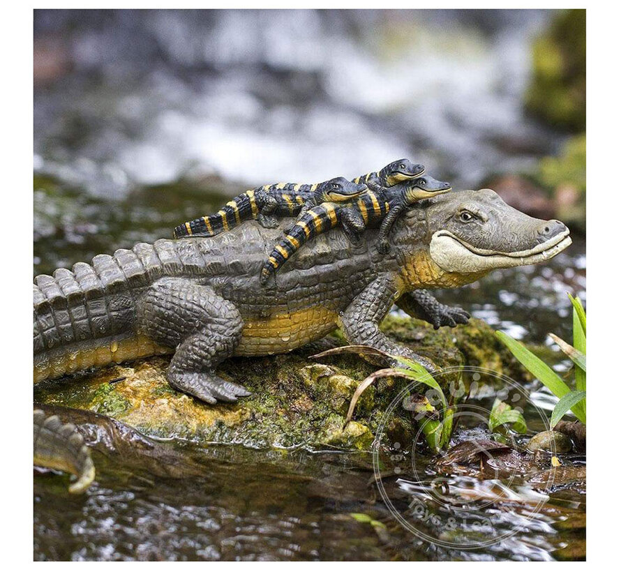 Safari Alligator with Babies
