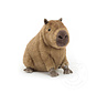 Jellycat Clyde Capybara