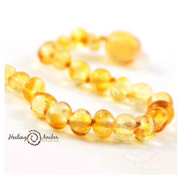 Healing Amber Healing Amber 5.5” Bracelet Circle Clasp Gold