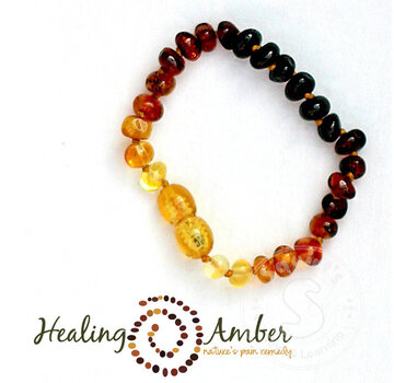 Healing Amber Healing Amber 5.5” Bracelet Circle Clasp Rainbow 5.5