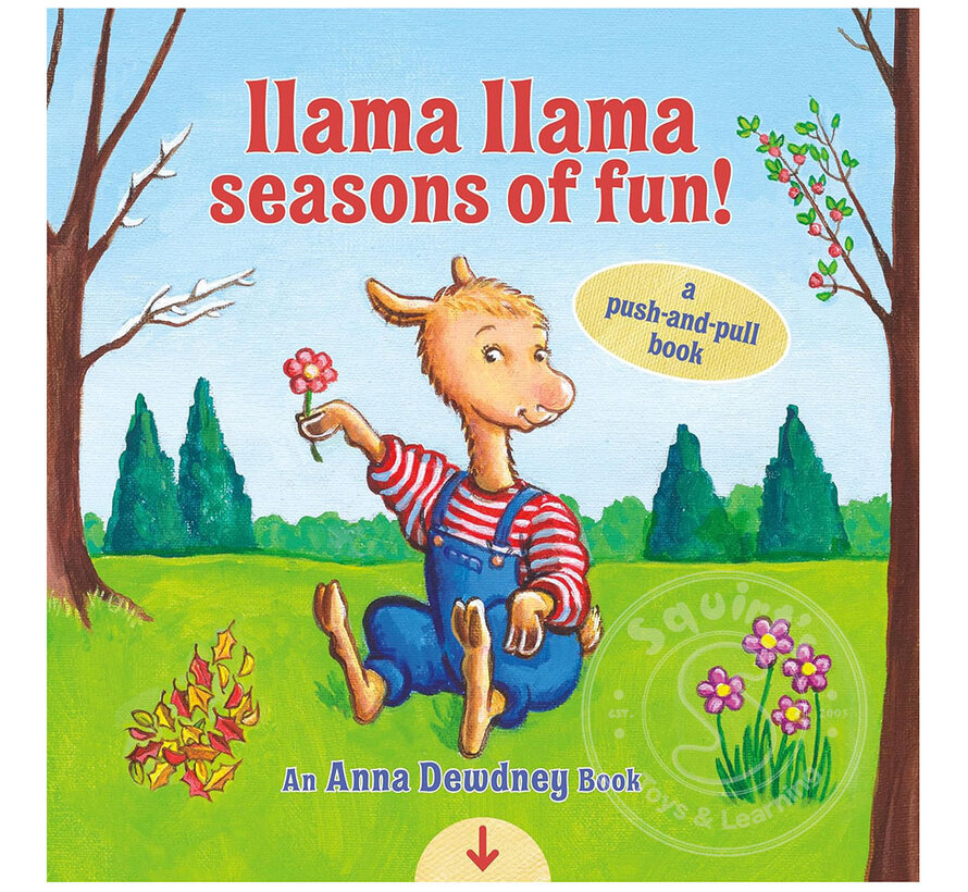 Llama Llama Seasons of Fun!: A Push-and-Pull Book