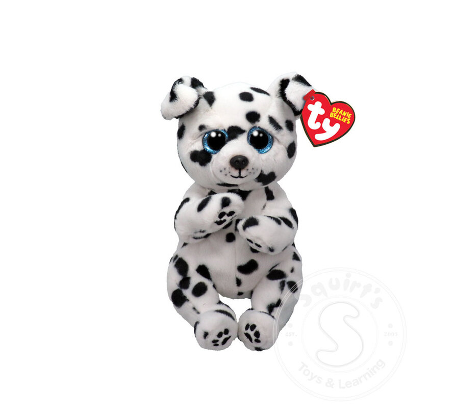 TY Beanie Bellies Rowdy Dalmatian Reg