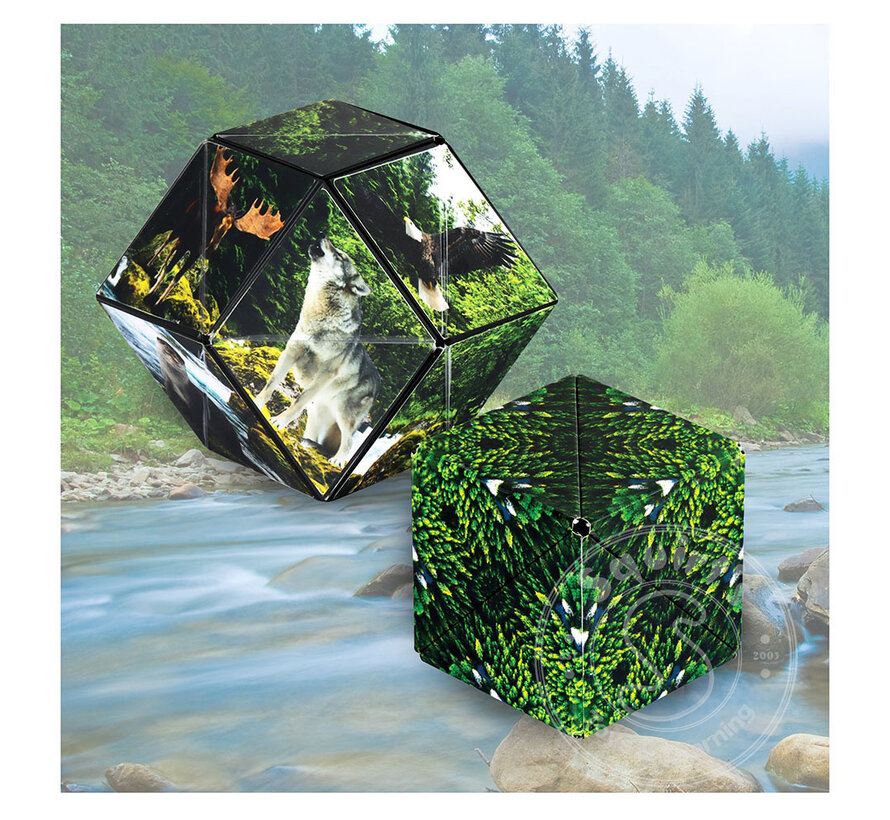 Shashibo: Shape Shifting Box, Forest
