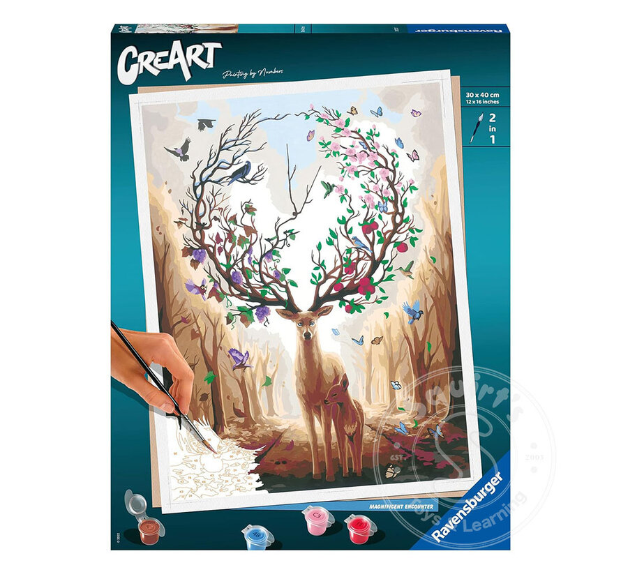 CreArt Paint by Numbers - Magnificent Encounter
