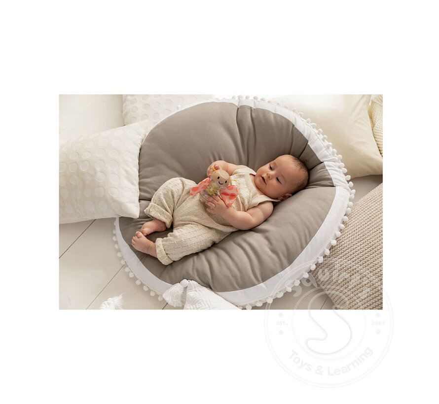 Hape Butterfly Rainmaker Robert