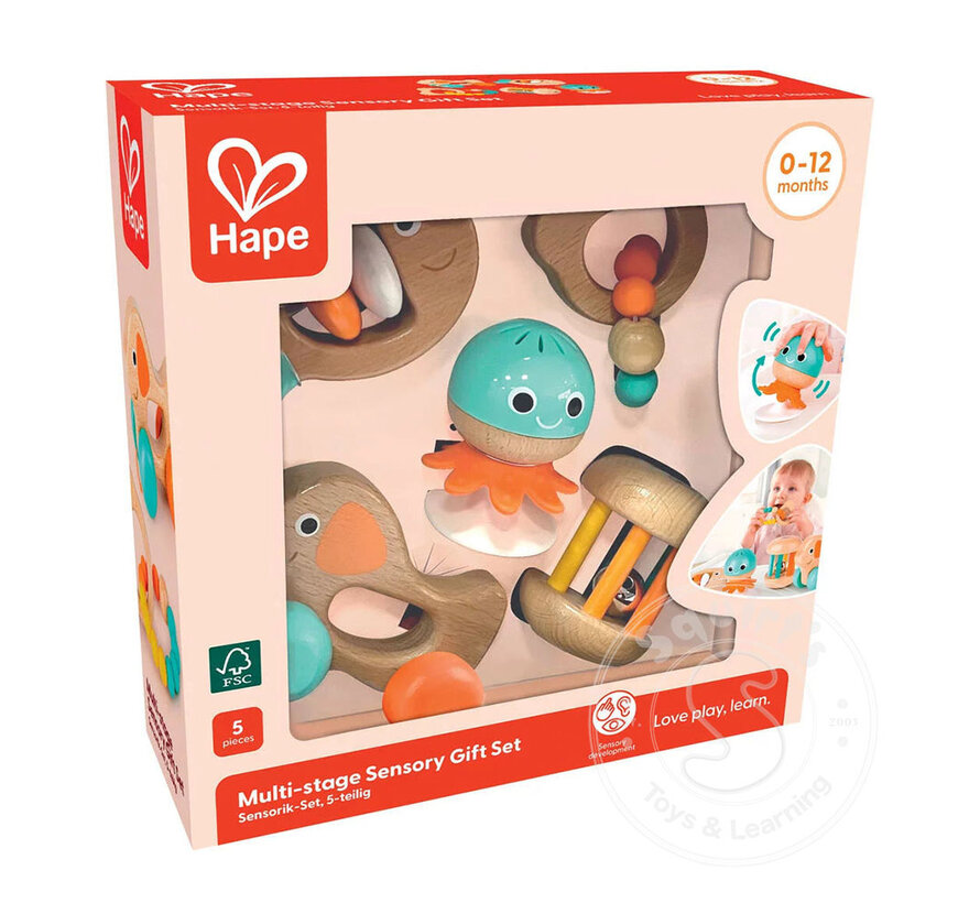 Hape Multi-Stage Sensory Gift Set