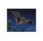 Folkmanis Fruit Bat Puppet