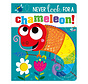 Never Look For A Chameleon! - Board Book