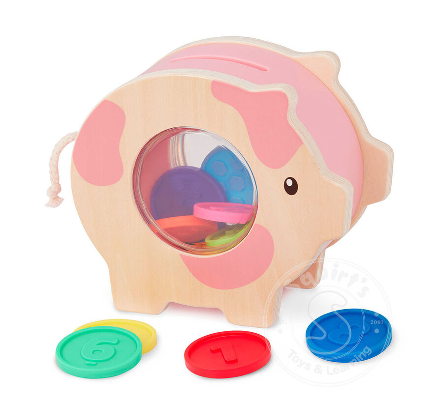 Save & Count Piggy Bank