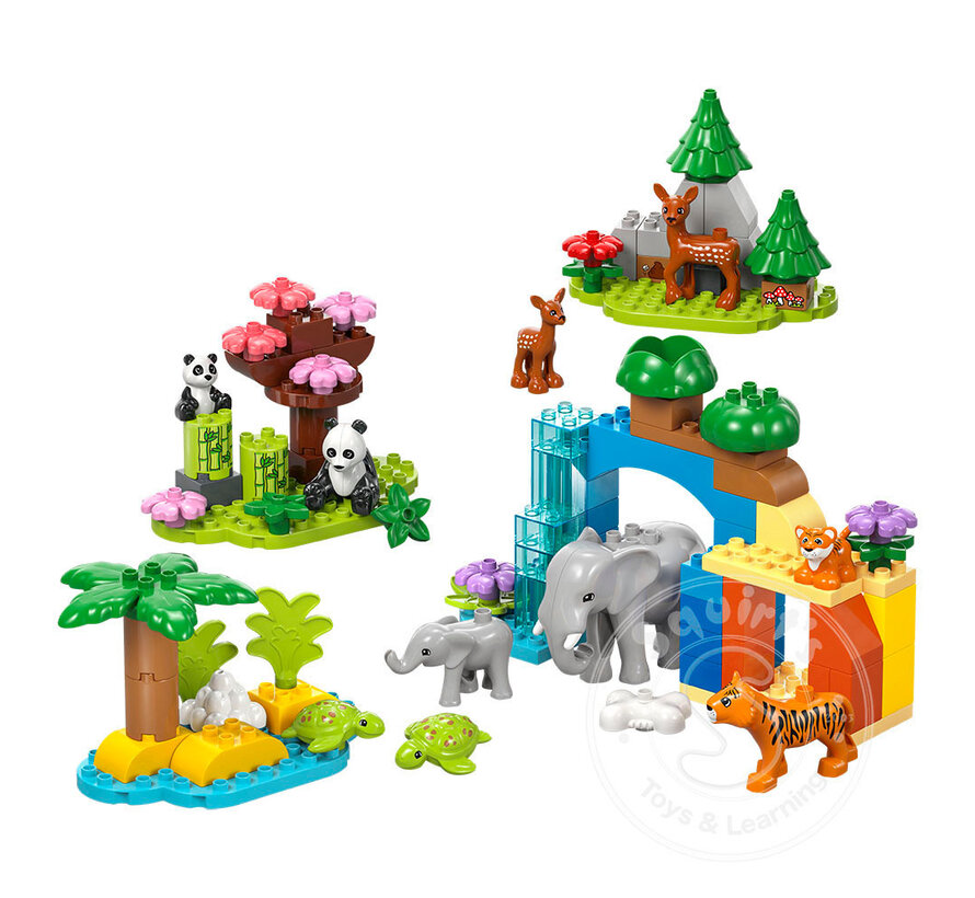 LEGO® DUPLO® 3in1 Wild Animal Families