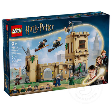 LEGO® LEGO® Harry Potter Hogwarts™ Castle: Flying Lessons