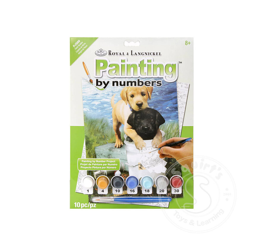 Royal & Langnickel Painting by Numbers Fishin Buddies