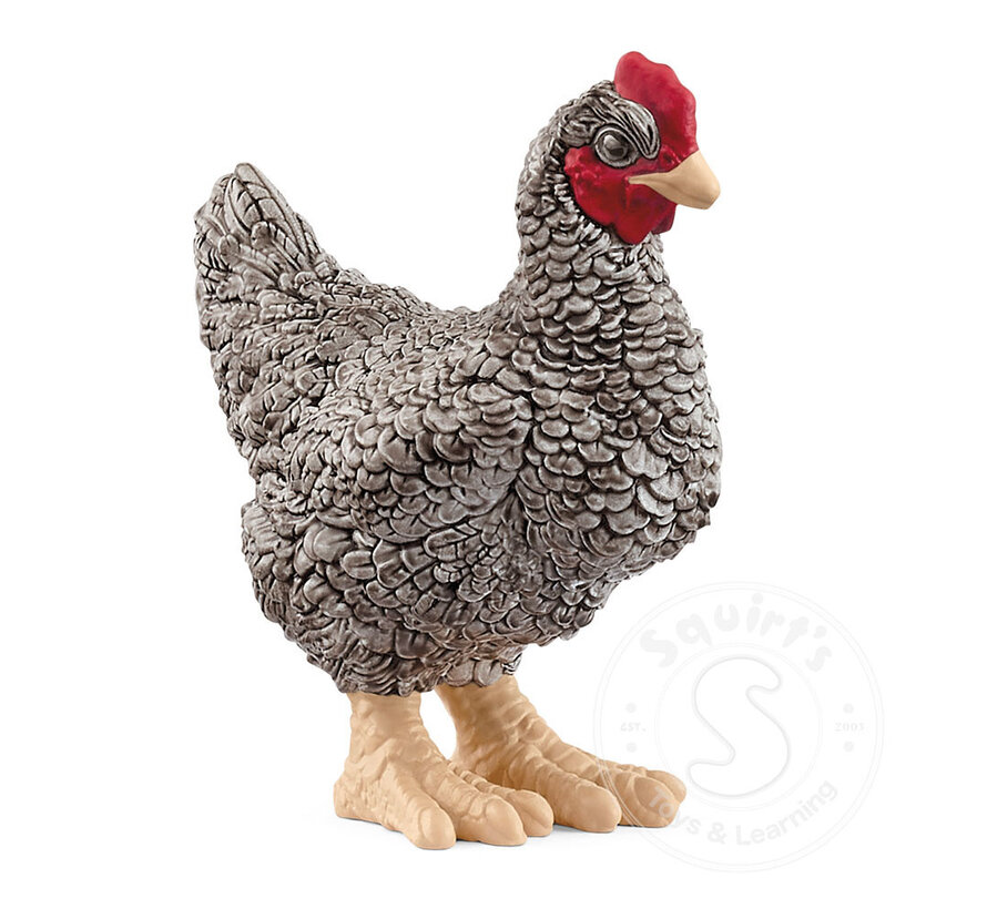 Schleich Plymouth Rock Chicken