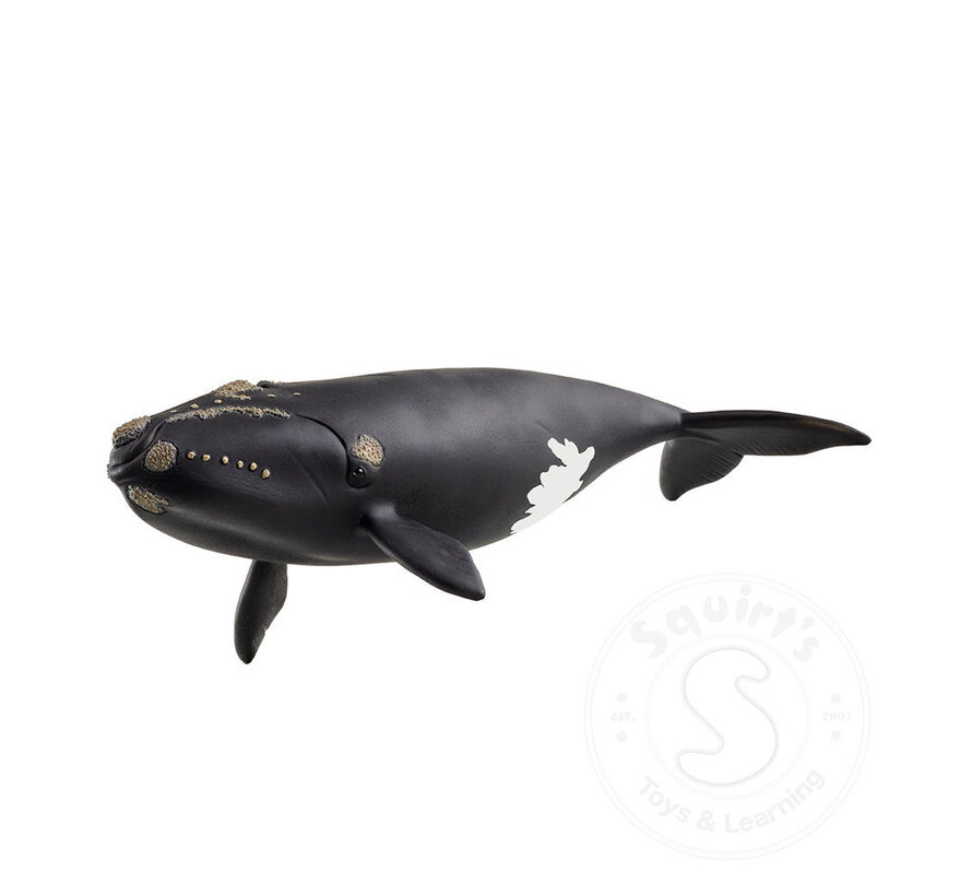 Schleich North Atlantic Right Whale