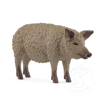 Schleich Schleich Mangalica Pig
