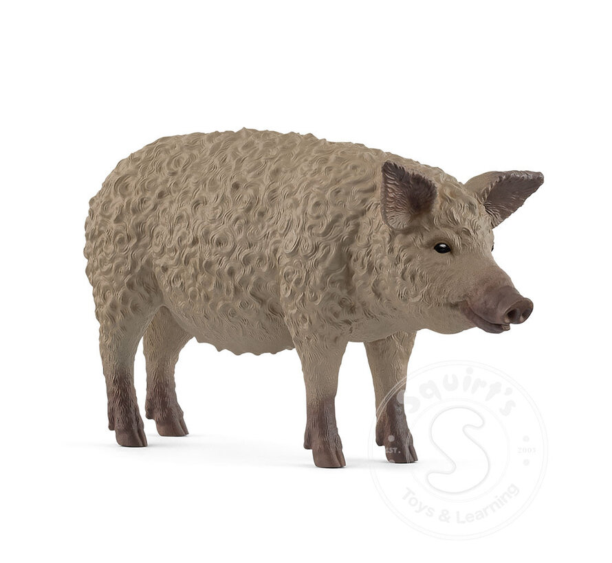 Schleich Mangalica Pig