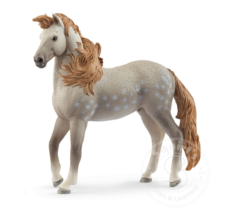 Schleich Andalusian Stallion