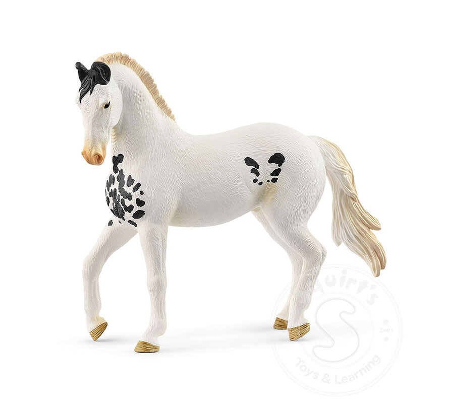Schleich Marwari Stallion