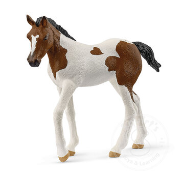 Schleich Schleich Paint Horse Foal