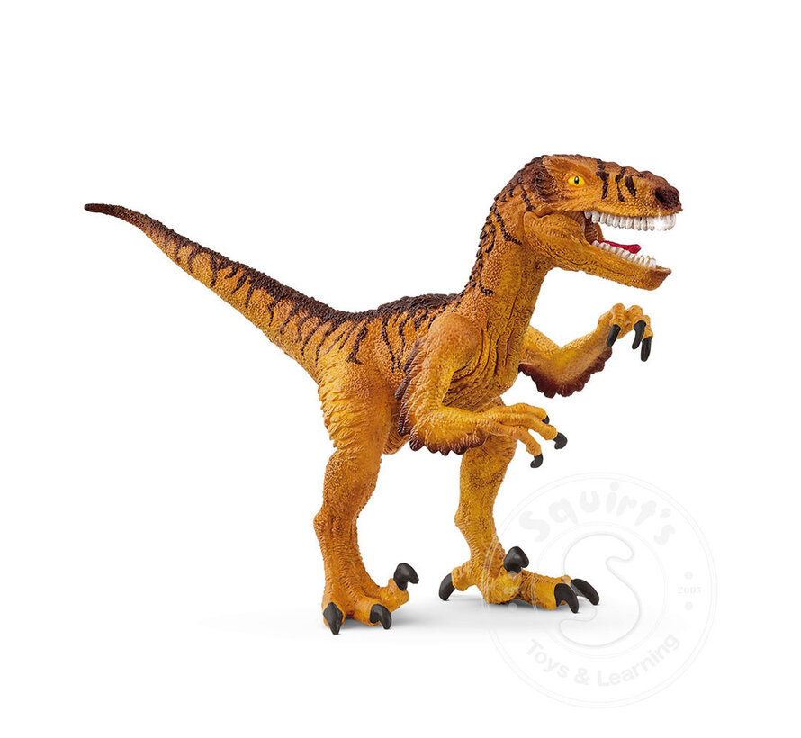Schleich Velociraptor