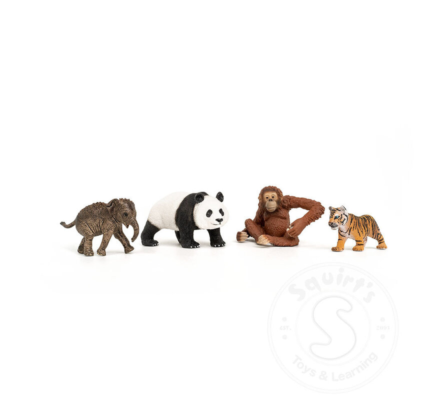 Schleich Wild Life Asia Starter Set