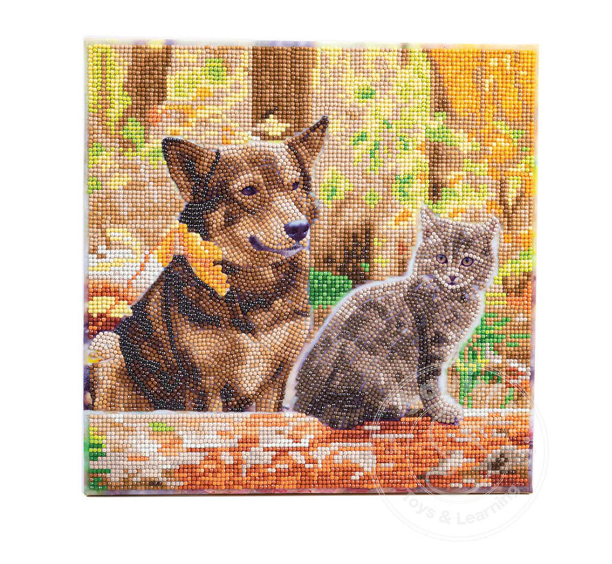 D.I.Y. Crystal Art Kit Medium: Cat and Dog in the Woods