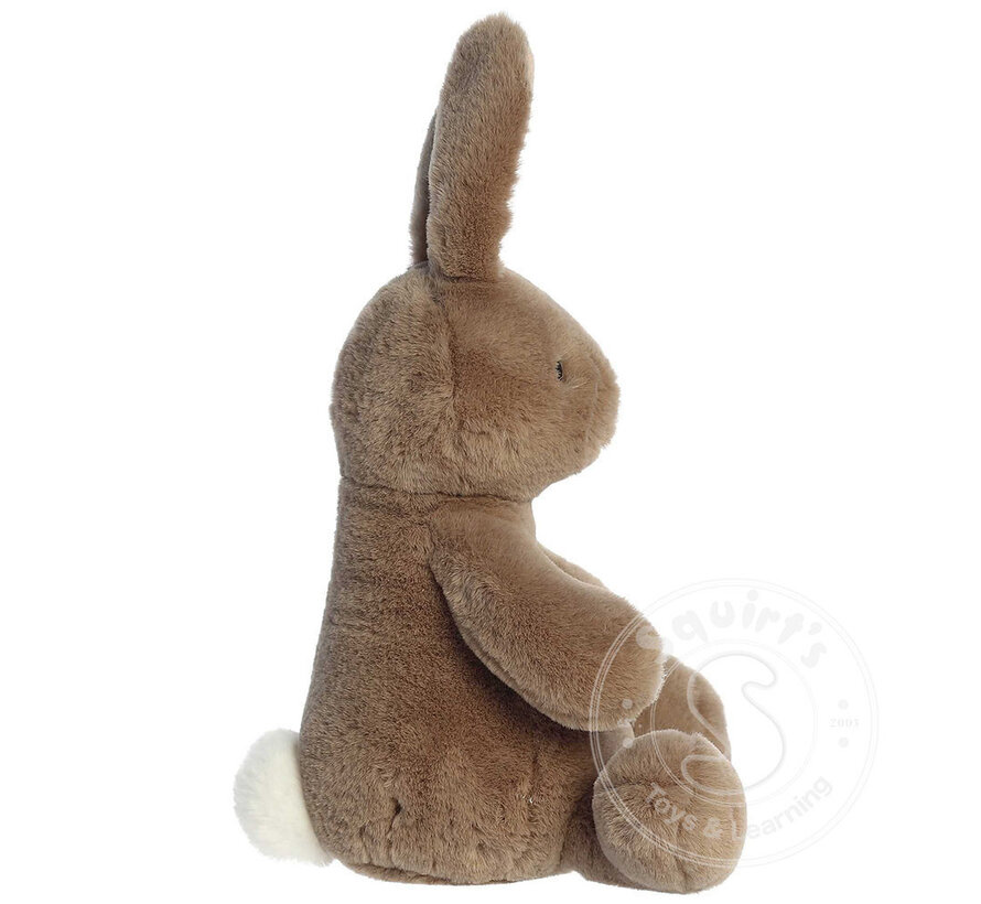 Happy Hoppers Oakley Bunny