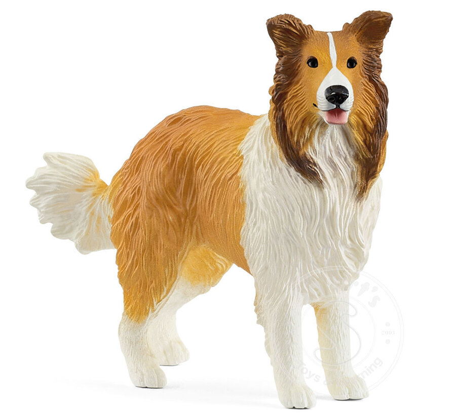 Schleich Collie