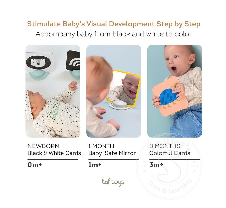 Taf Toys - My 1st Tummy-time Cards