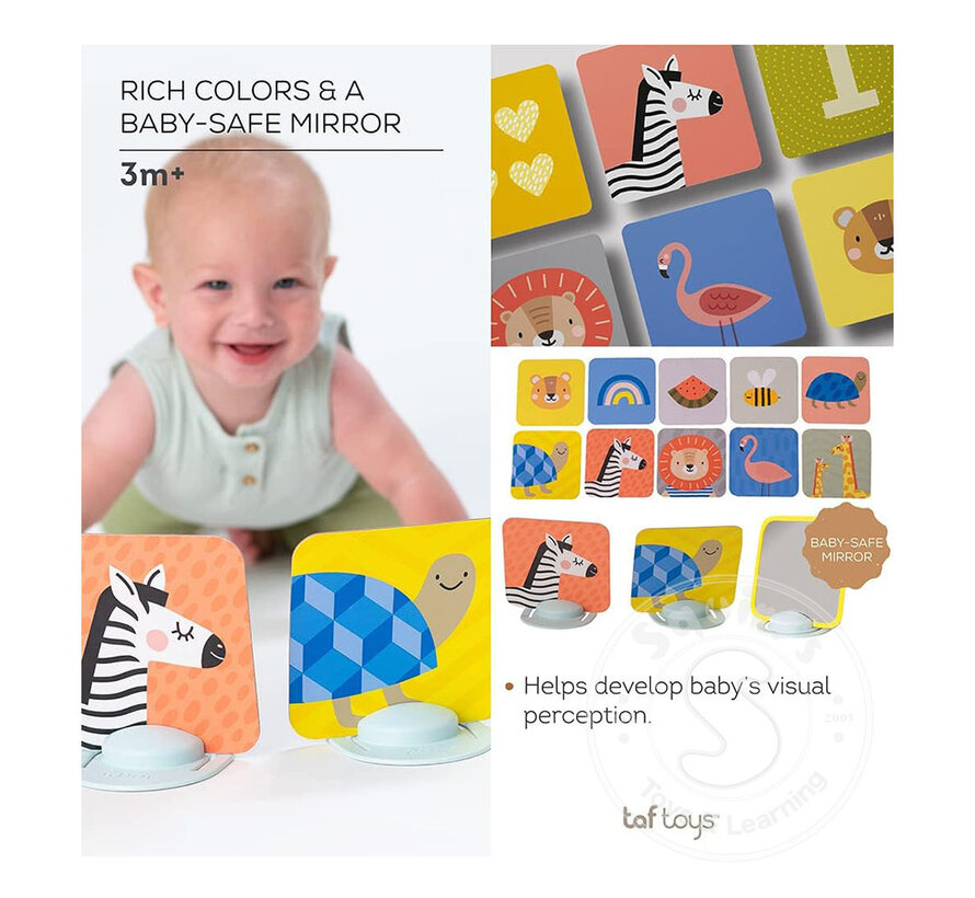 Taf Toys - My 1st Tummy-time Cards