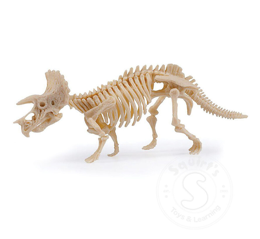 Dig & Discover Triceratops