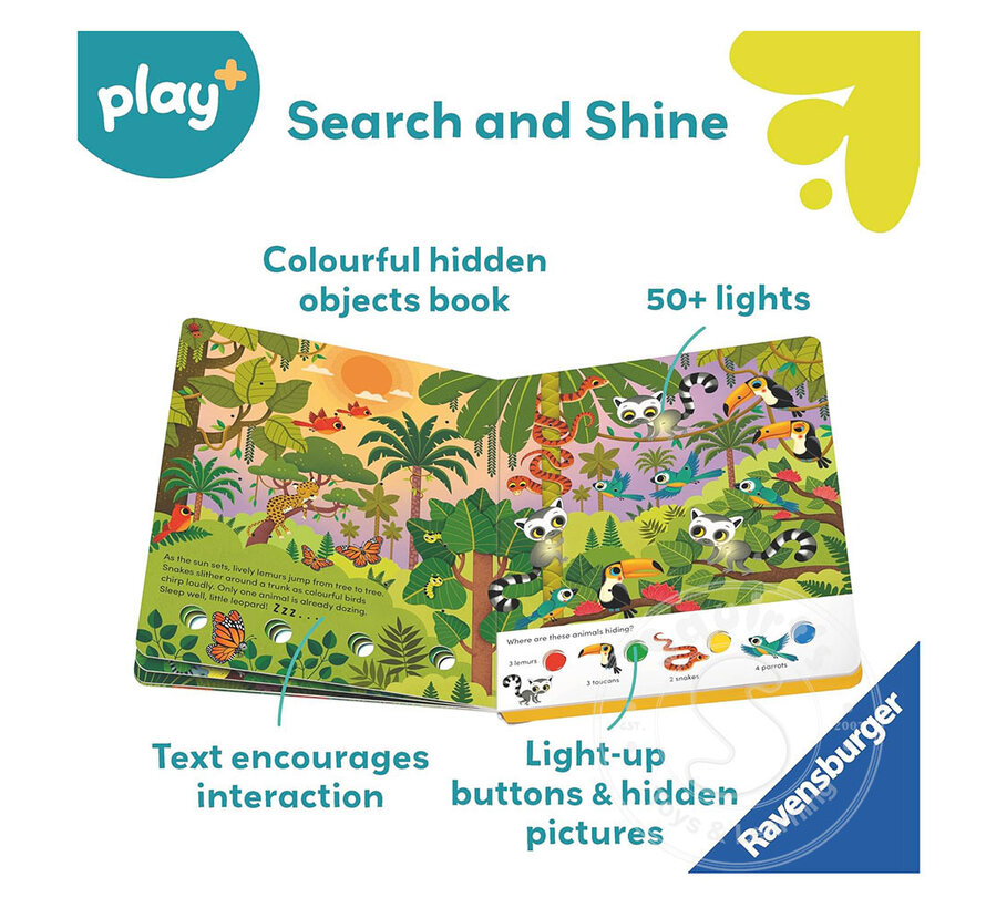 Search & Shine: In the Jungle