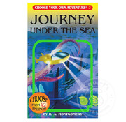 Dragonlark Choose Your Own Adventure: Journey Under The Sea
