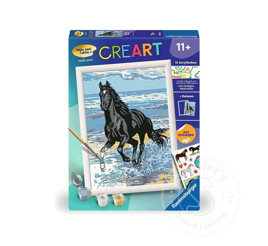 CreArt Paint by Numbers - Beach Horse - retired