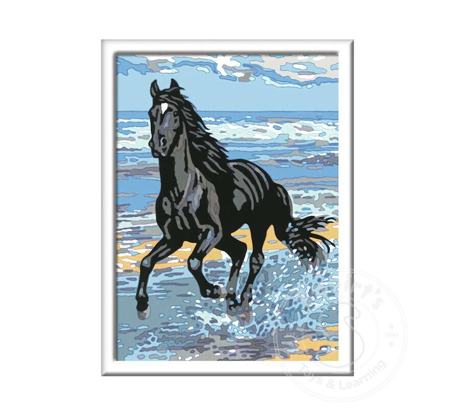 CreArt Paint by Numbers - Beach Horse